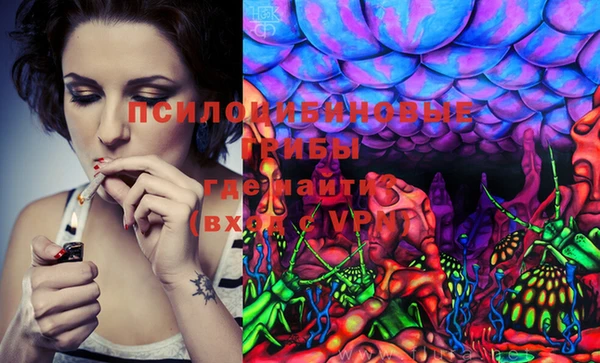 mdma Осинники