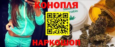прущие грибы Новокубанск